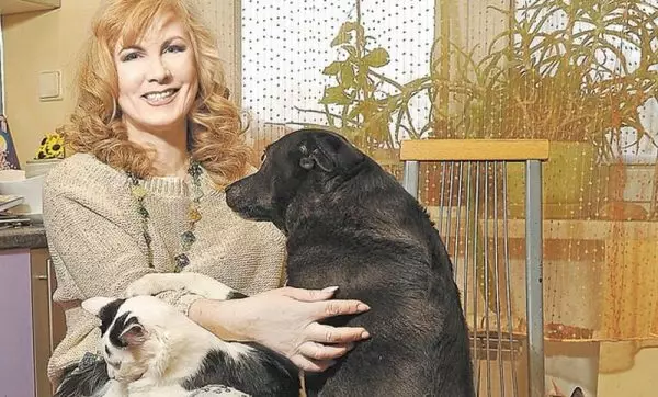 Tại sao Svetlana Razin ném những con chó của mình ra đường