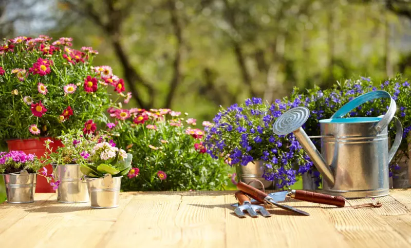 Весняний догляд за садом: боротьба з хворобами і шкідниками