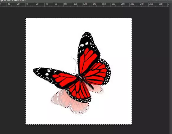 How to use a magic wand in photoshop 2661_3