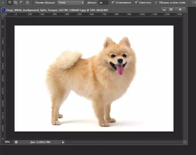 How to use a magic wand in photoshop 2661_8