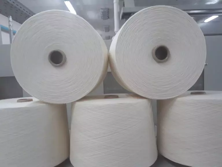 Ang mga pabrika sa Textile sa Shymkent nakadawat sa kahimtang sa FEZ 3141_1