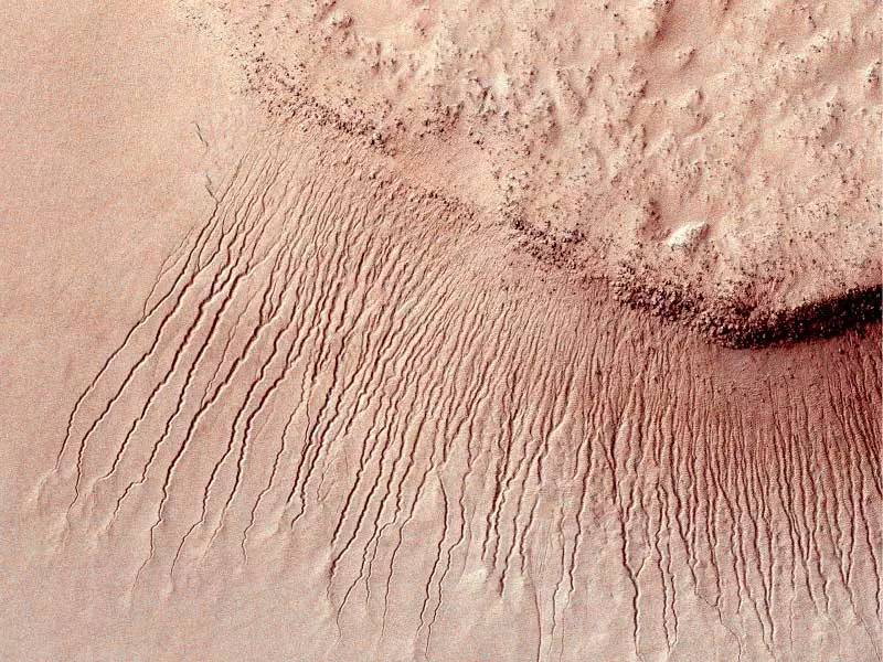 과학자들이 이미 답을 발견했는지에 대한 질문은 화성에 어떤 삶이 있습니까? 3956_2