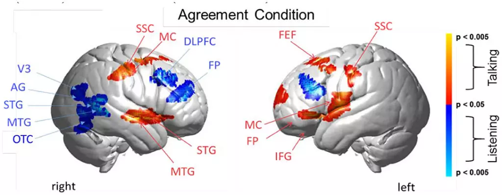 InterLocutor ile anlaşmazlıklar bazı beyin alanlarını daha aktif olarak çalışmaya zorladı 4529_3