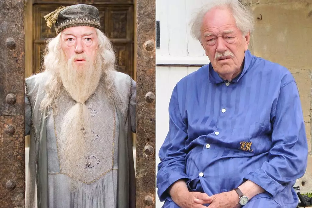 Attori del film "Harry Potter" Allora e ora: come è cambiata le loro vite