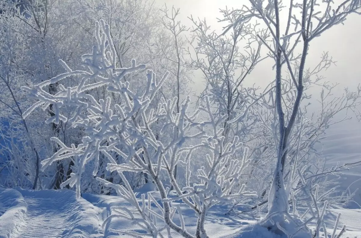 Iki dudu Frost ing kabeh: Ural Weather Forecasters kelingan ekstrem -47 ° ing Yekaterinburg
