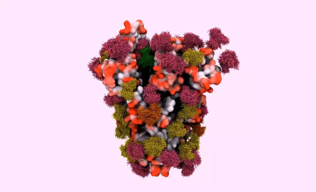 ¿Por qué los virus son amplia proteína? 7486_1