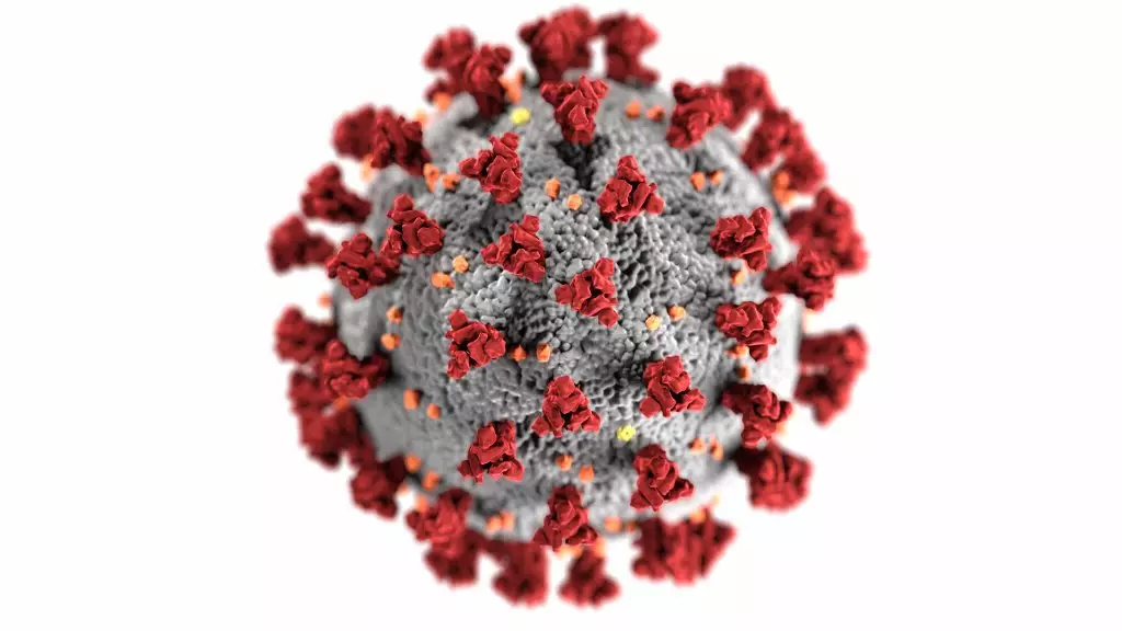 Mengapa virus protein yang luas? 7486_2