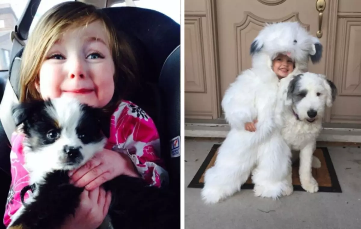 22 фотографии докажувајќи дека за среќа детето му е потребно куче, и ако мислите поинаку, тогаш сте токму мачка