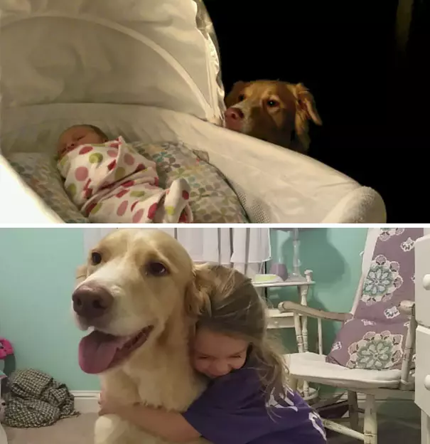 22 तस्वीरें यह साबित कर रही हैं कि खुशी के लिए बच्चे को कुत्ते की जरूरत है, और यदि आप अलग-अलग सोचते हैं, तो आप बिल्कुल बिल्ली हैं 8720_10