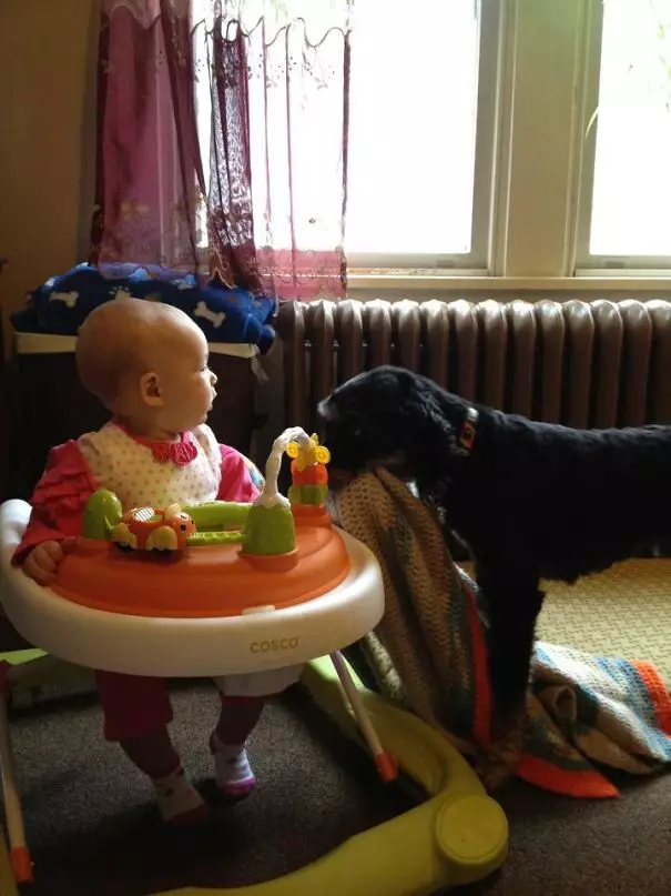 22 صورة تثبت أن الطفل يحتاج الطفل إلى كلب، وإذا فكرت بطريقة مختلفة، فأنت بالضبط 8720_17