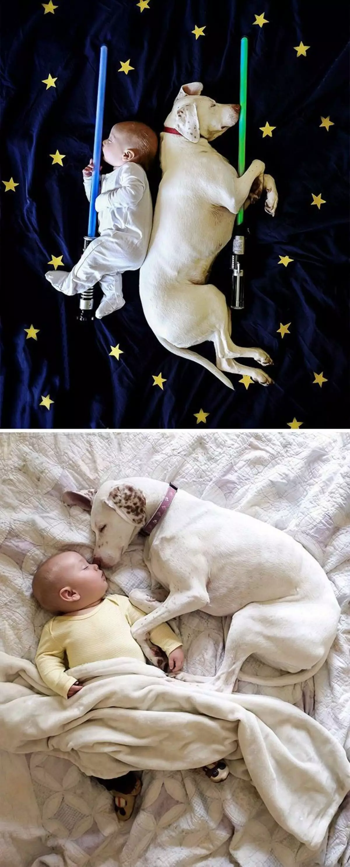 22 fotografije koje dokazuju da za sreću dijete treba psa, a ako mislite drugačije, onda ste upravo mačka 8720_18