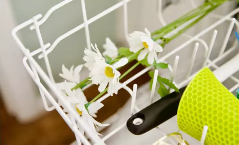 ما استدلال می کنیم، شما نمی دانید: 26 چیز که می تواند در ماشین ظرفشویی شسته شود 9070_9