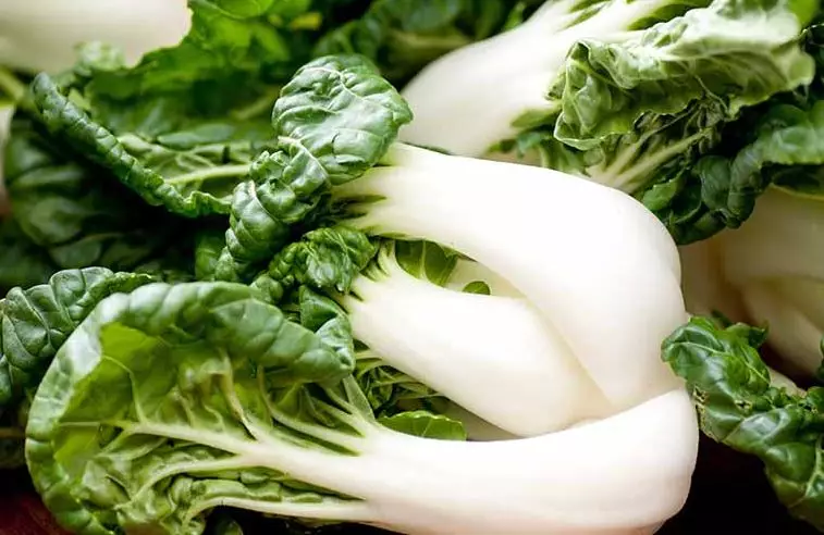 The 5 most simple plant sources of calcium on your garden - grow health! 9599_2